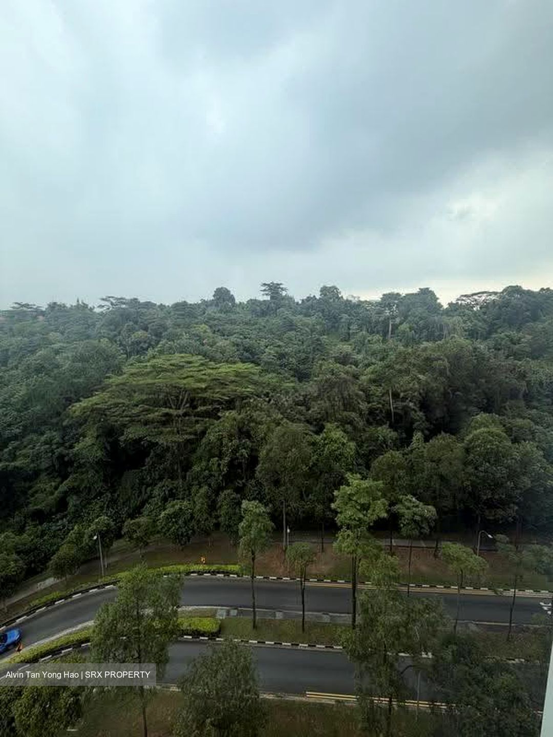 Blk 90A Telok Blangah Parcview (Bukit Merah), HDB 4 Rooms #608649201